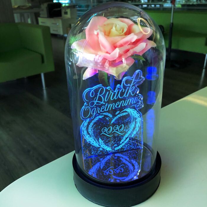 biricik ogretmenim cam fanus kisiye ozel yazili lamba pembe gul 21 cm pembe gul hediye ci 5184 60 B