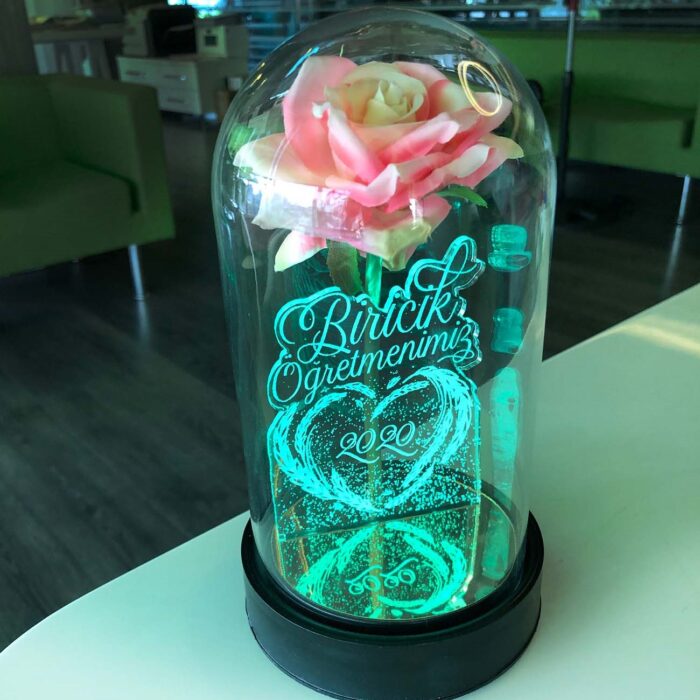 biricik ogretmenim cam fanus kisiye ozel yazili lamba pembe gul 21 cm pembe gul hediye ci 5185 60 B