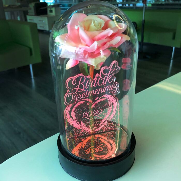 biricik ogretmenim cam fanus kisiye ozel yazili lamba pembe gul 21 cm pembe gul hediye ci 5186 60 B