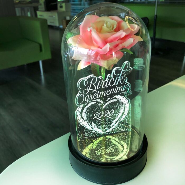 biricik ogretmenim cam fanus kisiye ozel yazili lamba pembe gul 21 cm pembe gul hediye ci 5187 60 B