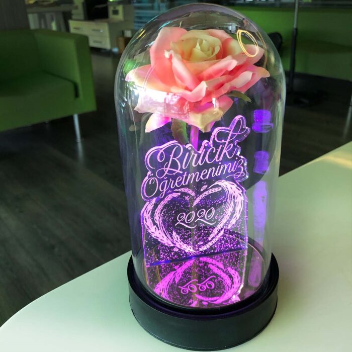 biricik ogretmenim cam fanus kisiye ozel yazili lamba pembe gul 21 cm pembe gul hediye ci 5188 60 B