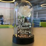 Cam Fanus Canım Annem Yazılı Lamba Beyaz Gül