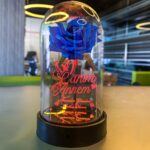 Cam Fanus Canım Annem Yazılı Lamba Mavi Gül