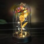 Cam Fanus Lamba Renkli Gold Gül Siyah Altlık