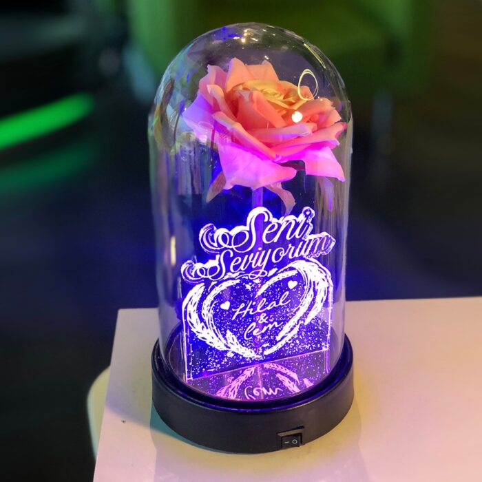 seni seviyorum isme ozel isikli pembe gullu fanus 21 cm pembe gul hediye ci 5024 58 B