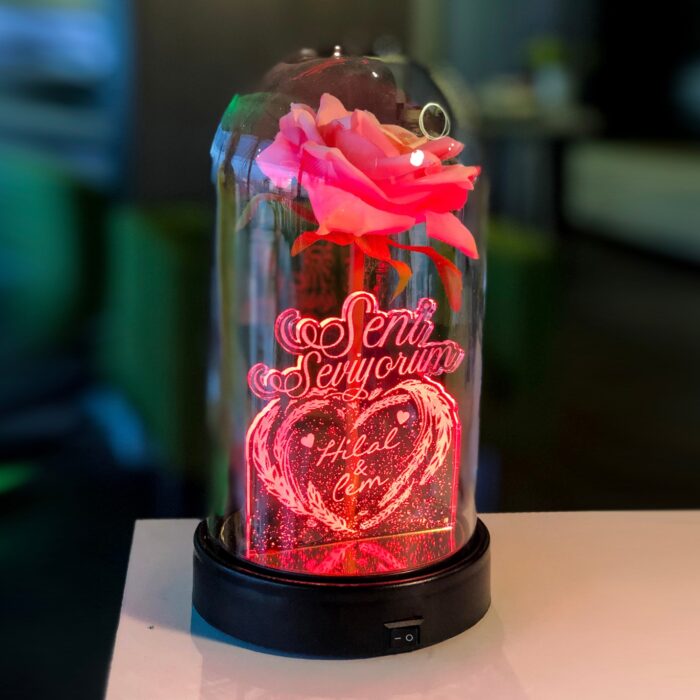 seni seviyorum isme ozel isikli pembe gullu fanus 21 cm pembe gul hediye ci 5028 58 B