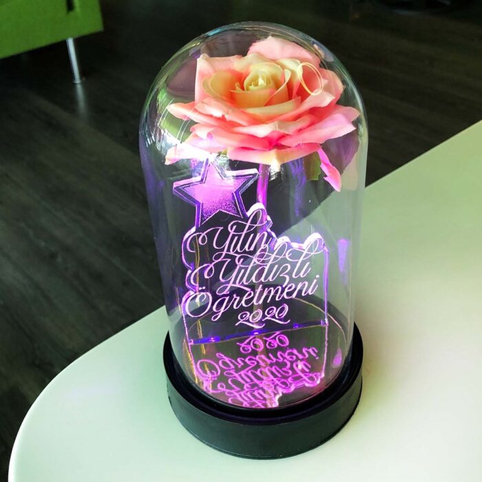 yilin yildizli ogretmeni cam fanus kisiye ozel yazili lamba pembe gul 21 cm pembe gul hediye ci 5232 60 B