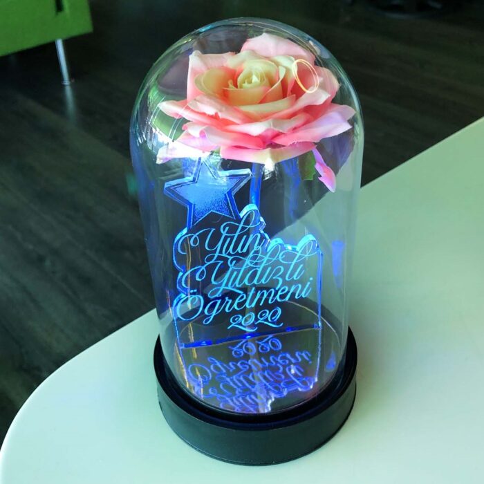 yilin yildizli ogretmeni cam fanus kisiye ozel yazili lamba pembe gul 21 cm pembe gul hediye ci 5233 60 B