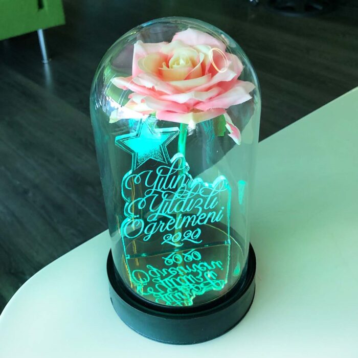 yilin yildizli ogretmeni cam fanus kisiye ozel yazili lamba pembe gul 21 cm pembe gul hediye ci 5234 60 B