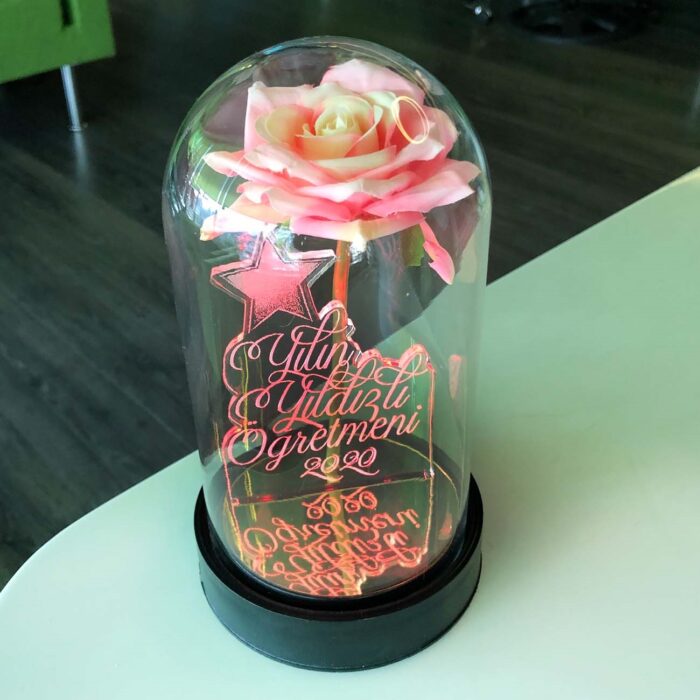 yilin yildizli ogretmeni cam fanus kisiye ozel yazili lamba pembe gul 21 cm pembe gul hediye ci 5235 60 B