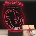 Kadın Doğuma Özel Jinekolog Tasarım 3D Hediyelik Led Lamba