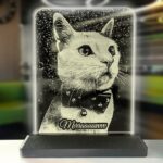 Kedilere Özel Kişisel Resimli Dikey Dikdörtgen 3d Led Gece Lambası