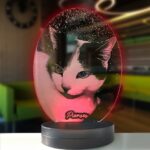 Kedilere Özel Oval Resimli Kişisel 3d Led Gece Lambası