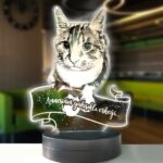 Kedilere Özel Profil Kişisel 3d Modelli Gece Lambası
