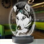 Köpeklere Özel Kişisel Oval 3d Modelli Gece Lambası